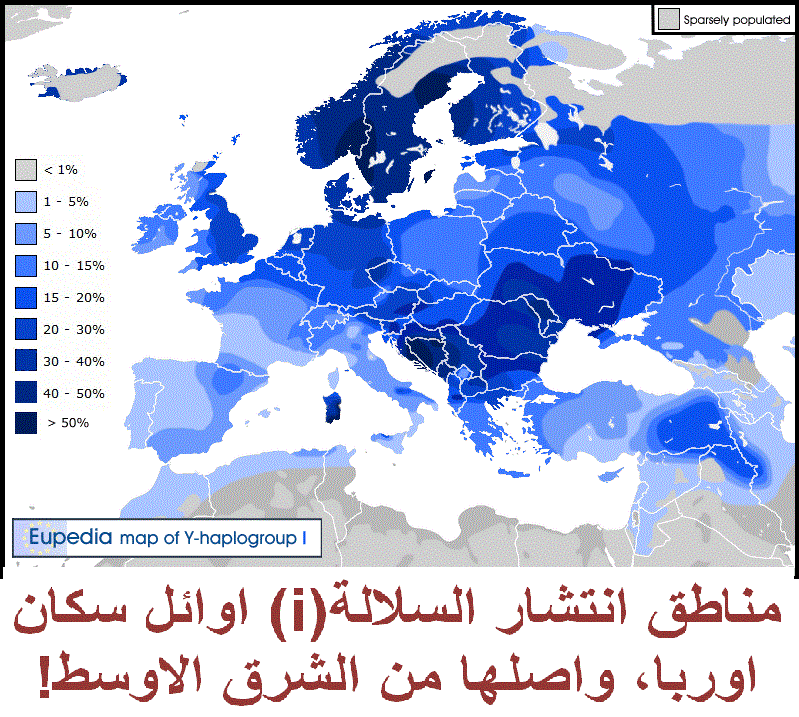 Haplogroup i