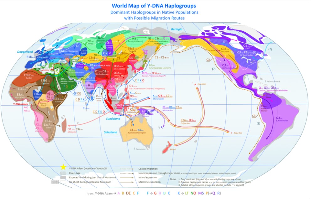 HAPLOGROUP