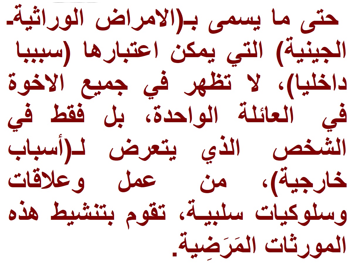 راعي 4