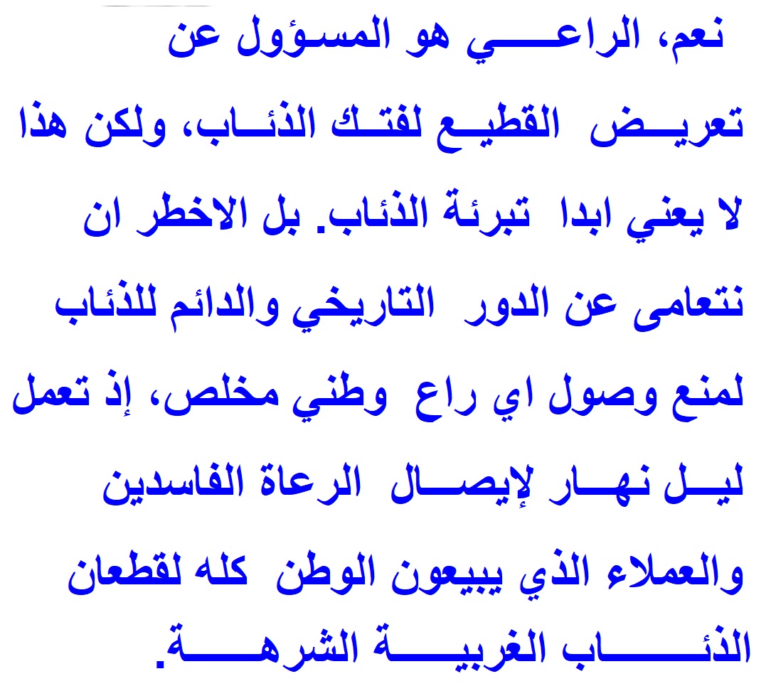 راعي 5